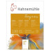 Альбом для пастели Hahnemuhle Ingres 100 г/м 24 х 31 см, 20 листов (белый)