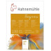 Альбом для пастели Hahnemuhle Skizze-Pastell 130 г/м А5, 30 листов