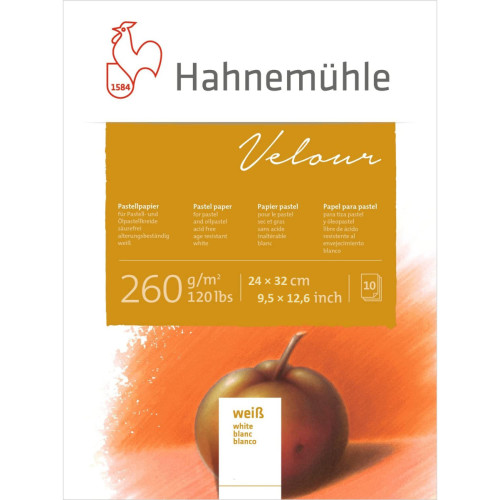 Альбом для пастелі Hahnemuhle Velour 260 г/м 24 x 32 см, 10 листів (білий)
