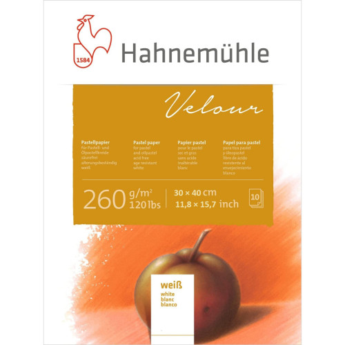 Альбом для пастелі Hahnemuhle Velour 260 г/м 30 x 40 см, 10 листів (білий)