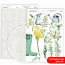 Папір дизайнерський двосторонній матовий „Wild Flowers“ 7, 21х29,7 см, 200 г/м2, ROSA TALENT (5311174)