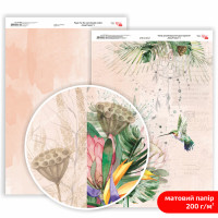 Бумага дизайнерская двусторонняя матовая „King Protea“ 5, 21х29,7 см, 200 г/м2, ROSA TALENT (5311180)