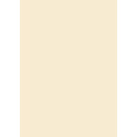 Бумага для дизайна Tintedpaper В2 (50*70см), №08 бежевая, 130г/м, без текстуры, Folia (16826708)