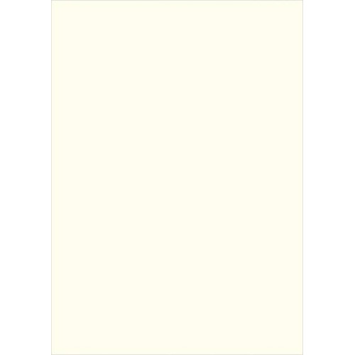 Бумага для дизайна Tintedpaper В2 (50*70см), №01 жемчужно-белая, 130г/м, без текстуры, Folia (16826701)