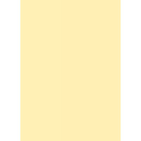 Папір для дизайну Tintedpaper В2 (50*70см), №11 блідо-жовтий, 130г/м, без текстури, Folia (16826711)