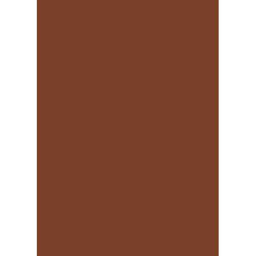 Бумага для дизайна Tintedpaper В2 (50*70см), №85 шоколадно-коричневая, 130г/м, без текстуры, Folia (16826785)