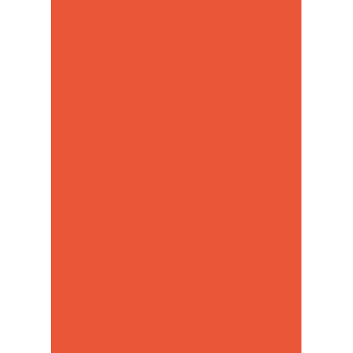 Бумага для дизайна Tintedpaper В2 (50*70см), №40 оранжевая, 130г/м, без текстуры, Folia (16826740)