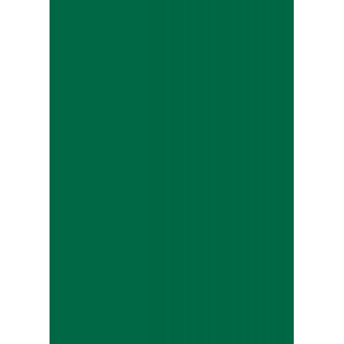Бумага для дизайна Tintedpaper В2 (50*70см), №58 хвойно-зеленая 130г/м, без текстуры, Folia (16826758)
