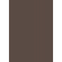 Папір для дизайну Tintedpaper В2 (50*70см), №70 темно-коричневий, 130г/м, без текстури, Folia (16826770)