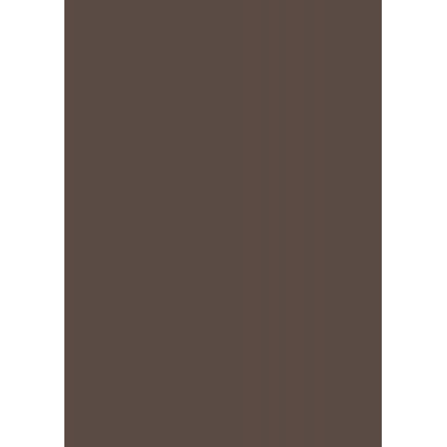 Бумага для дизайна Tintedpaper В2 (50*70см), №70 темно-коричневая, 130г/м, без текстуры, Folia (16826770)