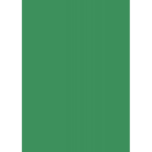 Бумага для дизайна Tintedpaper В2 (50*70см), №53 зеленый мох, 130г/м, без текстуры, Folia (16826753)