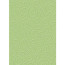 Бумага с тиснением Милан, Светло-зеленая, 21*31 см, 220 гм2, 204772624, Heyda (48352624)