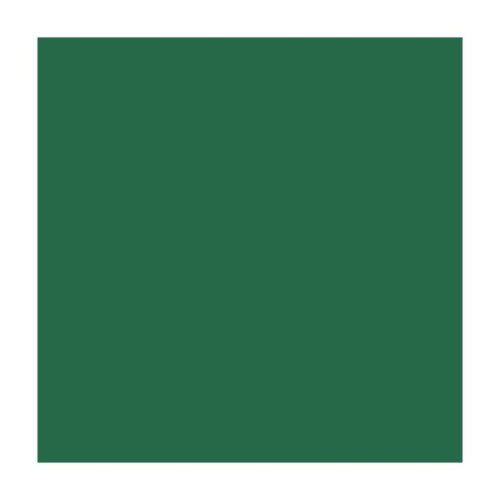 Папір для дизайну Fotokarton B1(70*100cм), №58 Хвойно-зелений, 300г/м2, Folia (6801058)