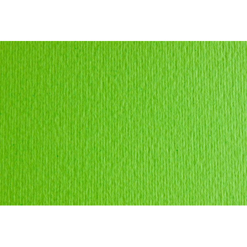 Бумага для дизайна Elle Erre B1 (70*100см), №10 verde picello, 220г/м2, салатовая, две текстуры, Fabriano (16F1010)