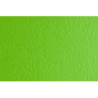 Бумага для дизайна Elle Erre А3 (29,7*42см), №10 verde picello, 220г/м2, салатовая, две текстуры, Fabriano (71023010)