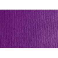 Папір для дизайну Elle Erre А4 (21*29,7см), №04 viola, 220г/м2, фіолетовий, дві текстури, Fabriano (16F41004)
