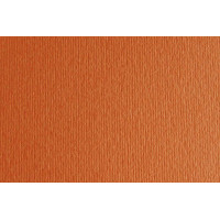 Папір для дизайну Elle Erre А4 (21*29,7см), №26 aragosta, 220г/м2, оранжевий, дві текстури,Fabriano (16F41026)
