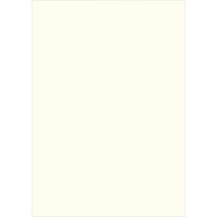 Папір для дизайну Tintedpaper А4 (21*29,7см), №01 перлинно-білий, 130г/м, без текстури, Folia (16826401)