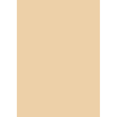 Бумага для дизайна Tintedpaper А4 (21*29,7см), №10 коричнево-желтая, 130г/м, без текстуры, Folia (16826410)