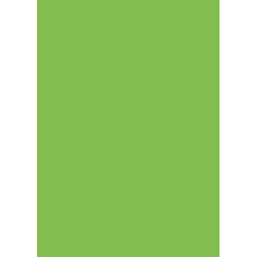 Бумага для дизайна Tintedpaper А4 (21*29,7см), №51светло-зеленая, 130г/м, без текстуры, Folia (16826451)