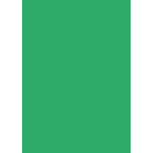 Бумага для дизайна Tintedpaper А4 (21*29,7см), №54 изумрудно-зеленая, 130г/м, без текстуры, Folia (16826454)
