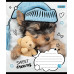 А5/12 кос. 1В Sweet dreams, зошит учнів.