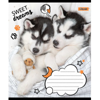 А5/12 кл. 1 Вересня Sweet dreams, зошит учнів.