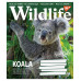 Тетрадь в клетку 18 листов, А5 YES Wild life ученическая
