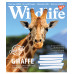Тетрадь в клетку 18 листов, А5 YES Wild life ученическая