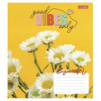 А5/24 кл. 1В Vibes, зошит учнів.