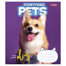 А5/24 кл. 1В Everything pets, зошит учнів.