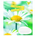 Тетрадь в клетку 24 листа, А5 1В Summer flowers ученическая