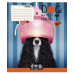 Тетрадь в линию 24 листа, А5 YES Dog my best friend ученическая