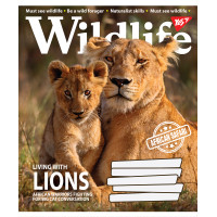 Тетрадь в линию 24 листа, А5 YES Wild life ученическая