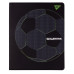 Дневник школьный YES PU интегральный Football