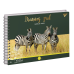 Альбом для малювання А4 30 Yes Спіраль Wild Animals Y