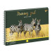 Альбом для малювання А4 30 Yes Спіраль Wild Animals Y