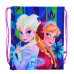 Сумка для обуви 1 Вересня SB-10 Frozen