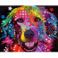 Алмазна мозаїка SANTI Райдужна собака 40*50 см на підрамнику - товара нет в наличии