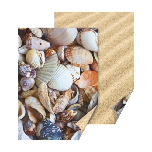 Бумага с рисунком Ракушка-Песок, 50*70 см, двусторонняя, 300 гм2, Heyda (204772289)