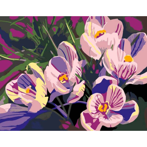 Набір-стандарт картина за номерами „Квіти 2.123“ 35х45см ROSA START