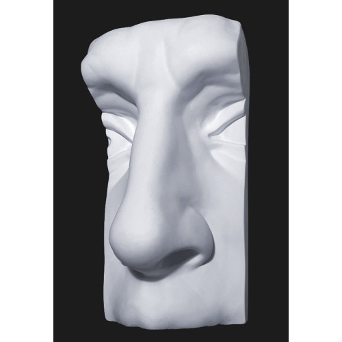 Гипсовая фигура Нос Давида облегченный Анатомическая модель 30х17х12,5 см