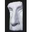 Гипсовая фигура Нос Давида облегченный Анатомическая модель 30х17х12,5 см
