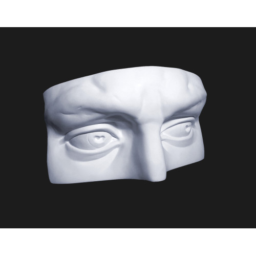 Гипсовая фигура Глаза Давида облегченная Анатомическая модель 19,5х35х14 см