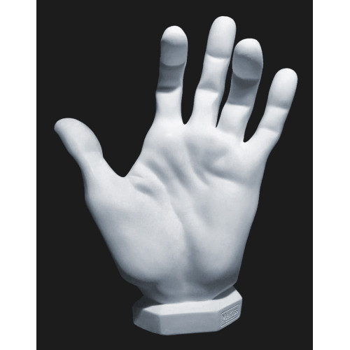 Гіпсова фігура Рука Анатомічна модель 39,5х32х13 см