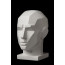 Гіпсова модель Обрубування голови по Гудону 33,5х24х27 см