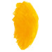 Масляна фарба Rive gauche 40ml - Indian Yellow Індійський жовтий