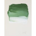 Масляна фарба Rive gauche 40ml - Chrome Oxide Green Оксид хрому зелений