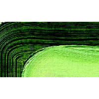 Краска масляная Schmincke Akademie Oil color 60 мл sap green