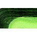 Краска масляная Schmincke Akademie Oil color 60 мл sap green